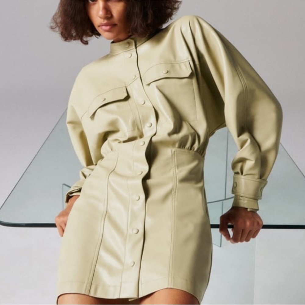 NWT Zara leather dress